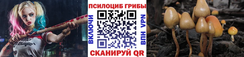 Псилоцибиновые грибы прущие грибы  купить   Орёл 