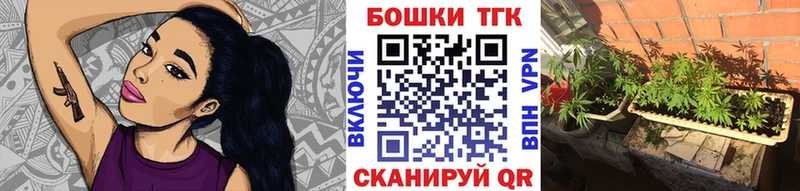 Бошки Шишки планчик  закладки  Орёл 